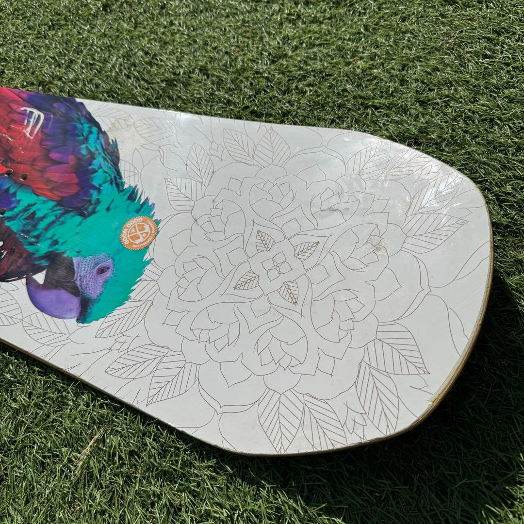 スノーボード CAPiTA Birds of a Feather 13/14 144cm