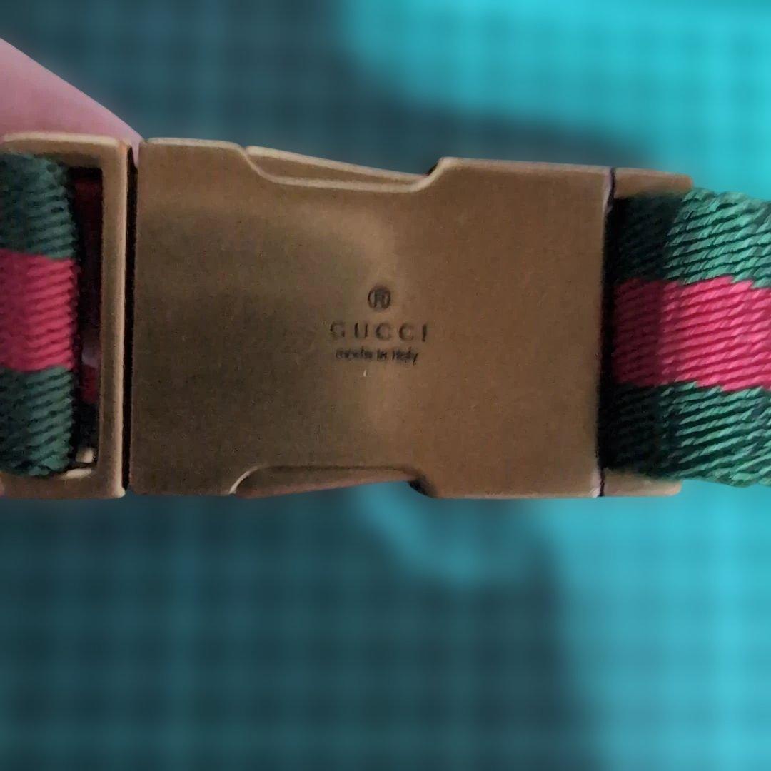 希少GUCCIドッグ 首輪、リード、スタッズシェリーライン