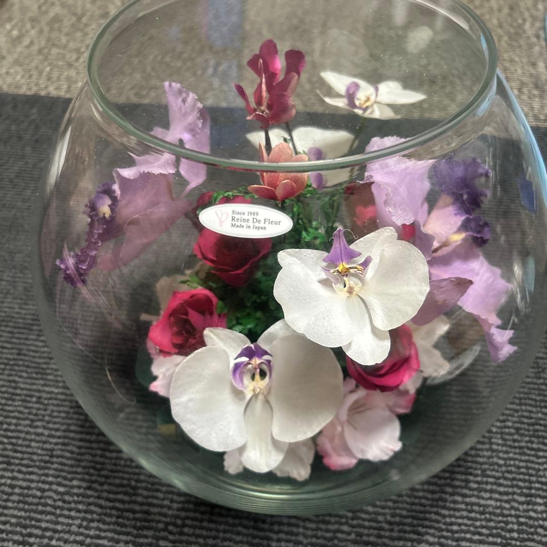 レンデフロール　大