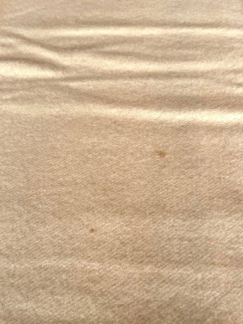 【未使用】EARLY'S WITNEY POINT ウィットニー　ブランケット