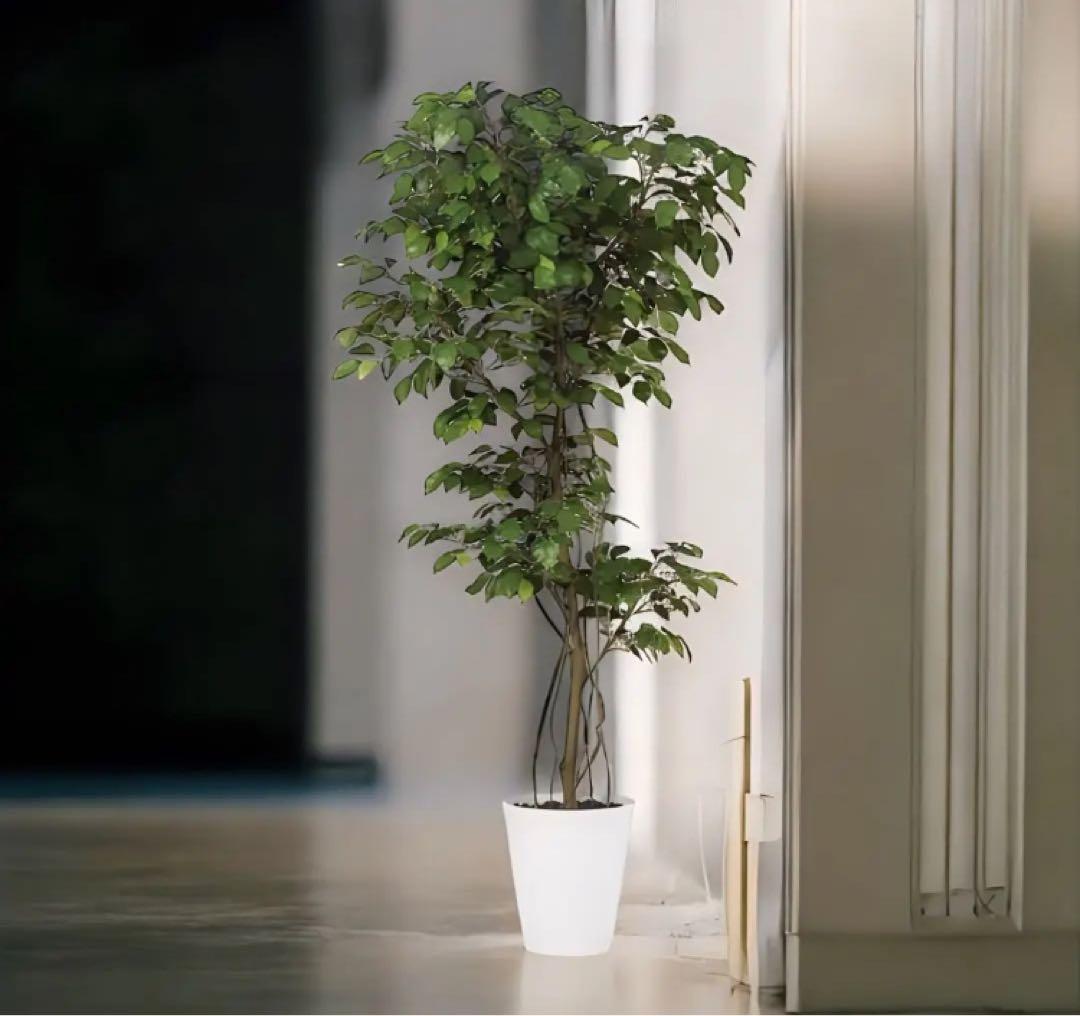 光触媒　人工観葉植物　ウォールグリーン　フェイクグリーン　ベンジャミン7070