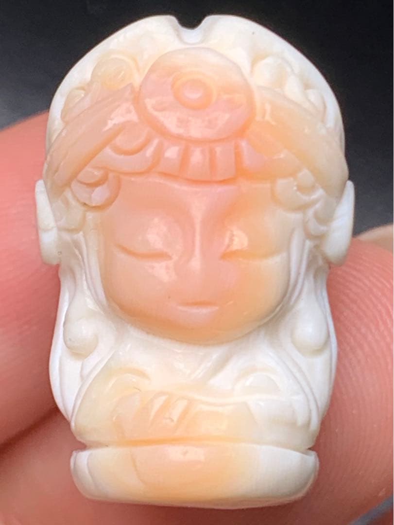 071190 一点限定❗️天然コンクシェルザキラム、貫通穴、14.3＊22.1ミリ