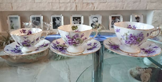 大きさ比較画像専用 ハマースレイ すみれ 追加画像