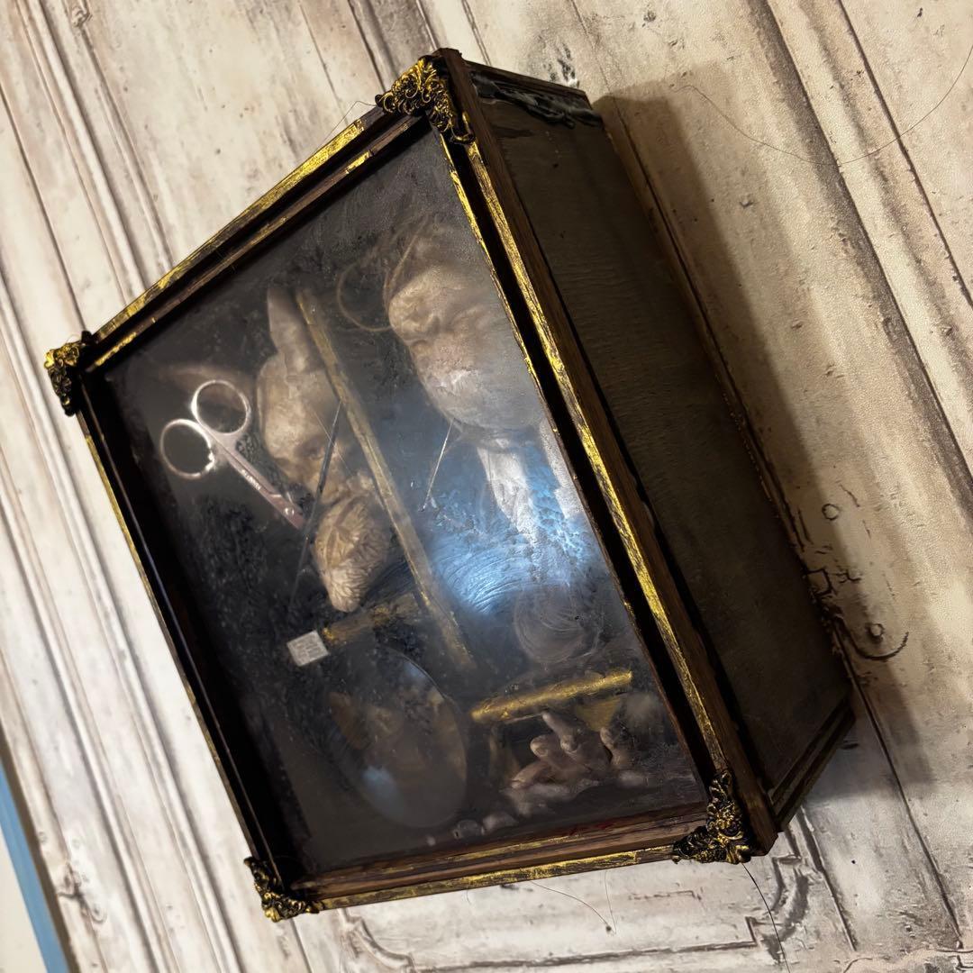 【Special Price】 異端収集者の秘密の標本箱（ウサギ）