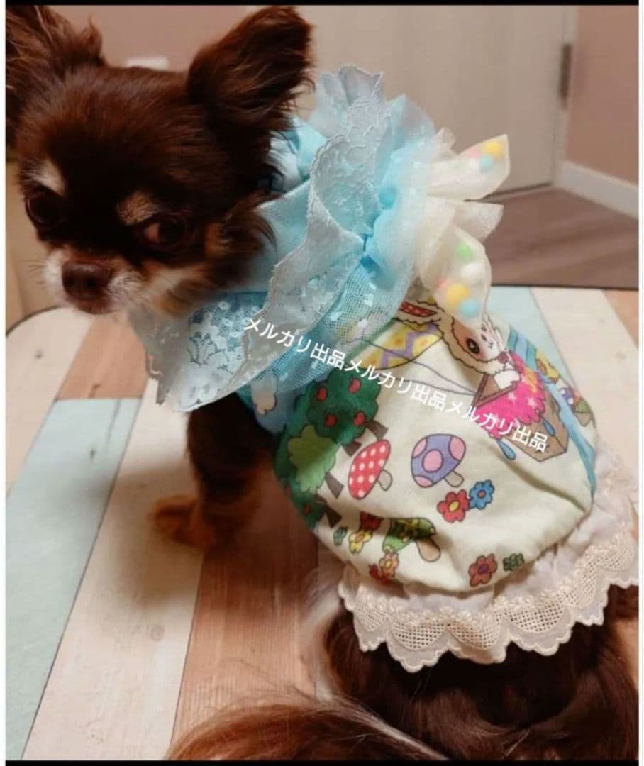 J＆Kanimals 　はるちゃんワンピース　イースター限定ワンピース