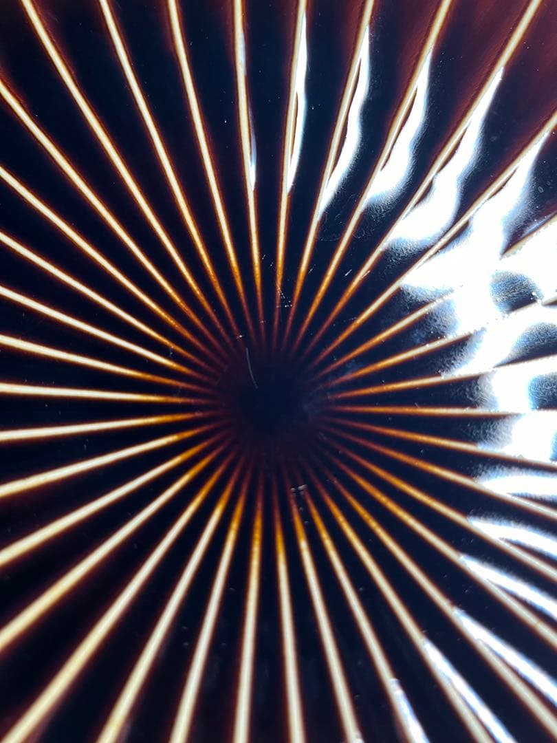 【りお】カネコ小兵　ぎやまん陶 楕円大皿　5枚セット