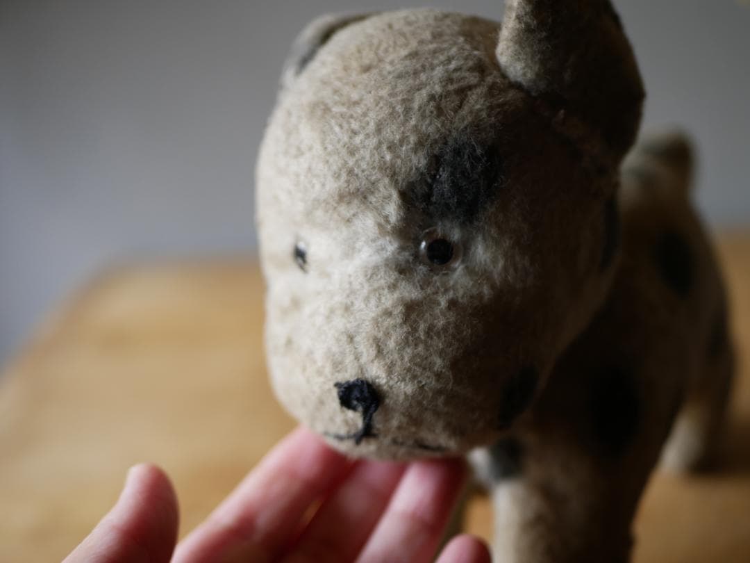 ドット柄のワンちゃん　犬　アンティークトイ　ぬいぐるみ　フランスアンティーク