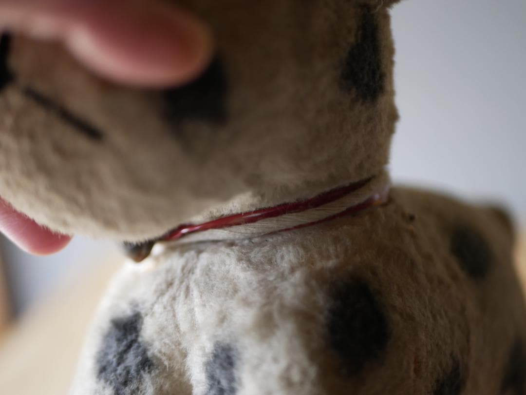 ドット柄のワンちゃん　犬　アンティークトイ　ぬいぐるみ　フランスアンティーク