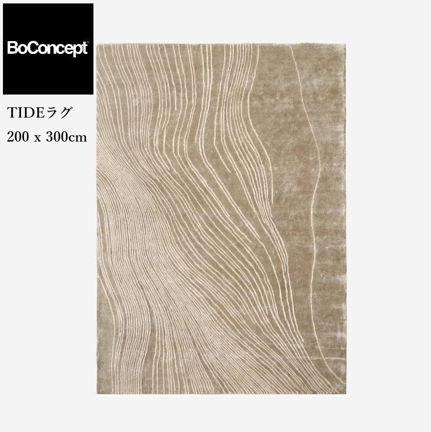 Boconcept ラグ モデルルーム 展示品 Tide 200 x 300