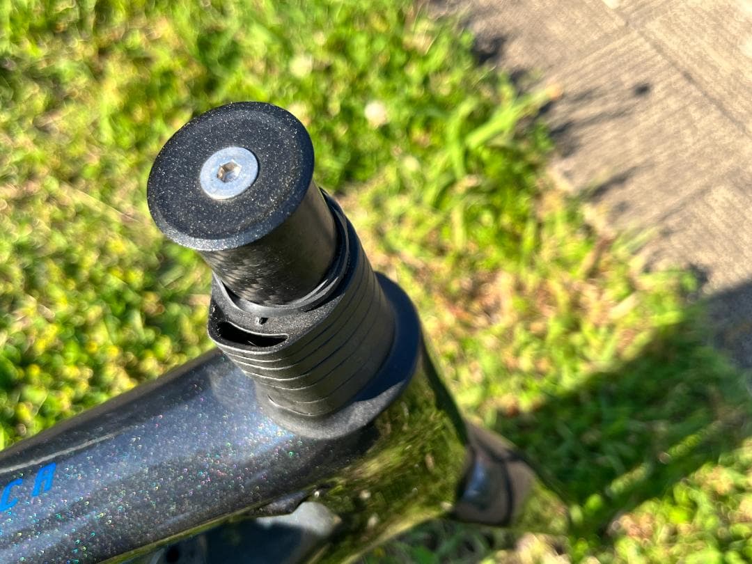 たこちゃんGIANT TCR カーボンフレーム ブラック/ブルー