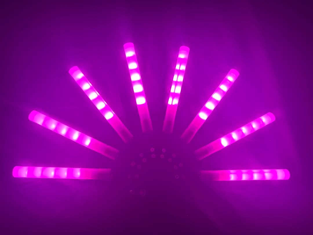 ノーマル孔雀 ピンク