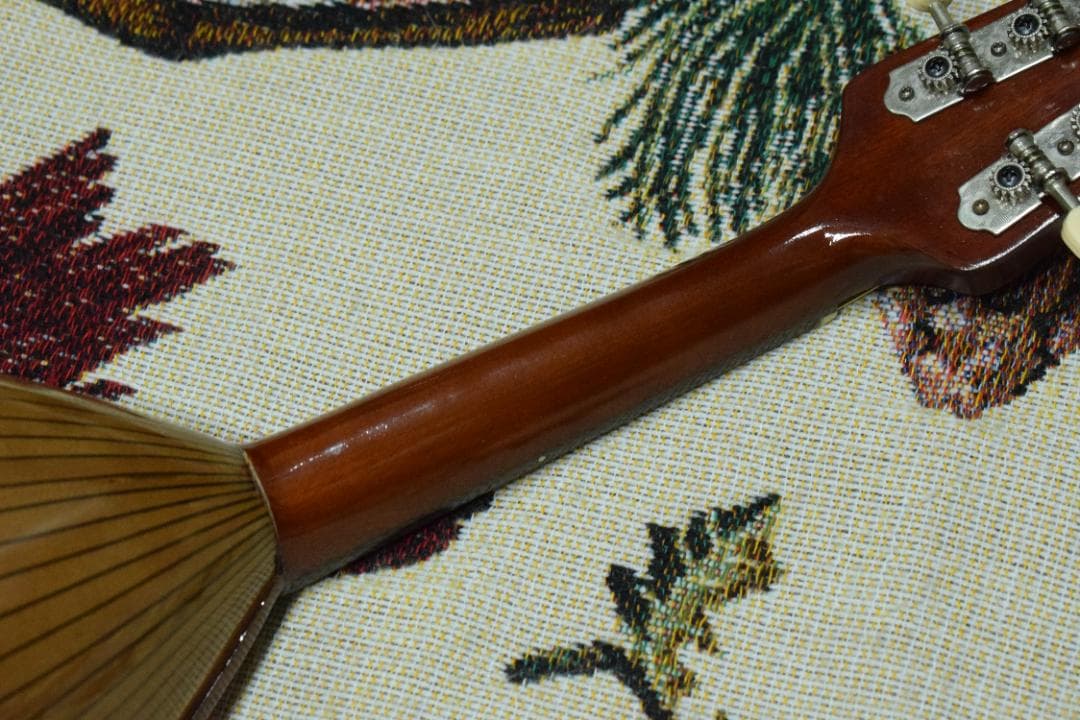 【新品弦張り替え済】Suzuki マンドリン M-210【ハードケース付】