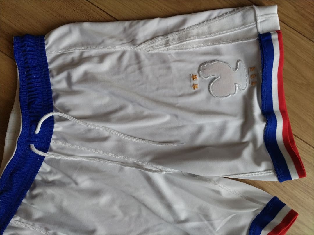 Nike DRI-FIT サッカー レプリカ ショート パンツ