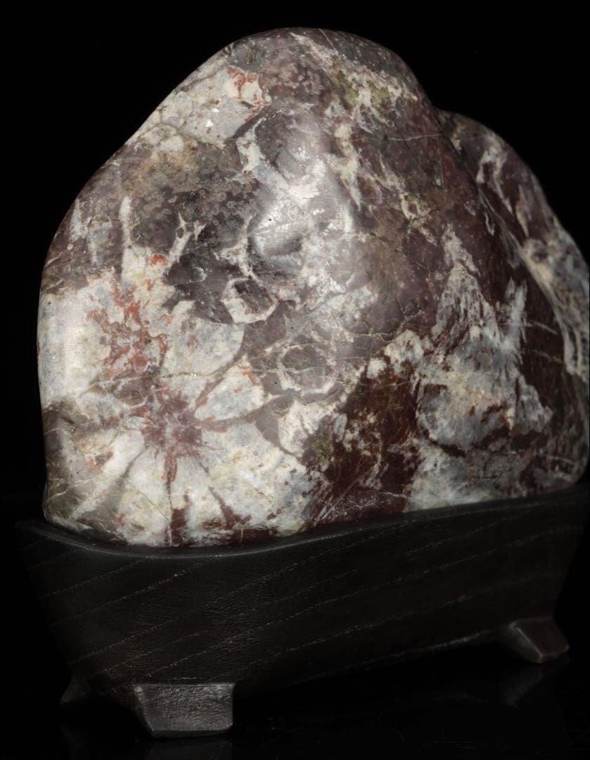 菊花石 菊紋石 小菊石 紋石 白菊 鑑賞石 水石 原石 自然石 台座付 729g