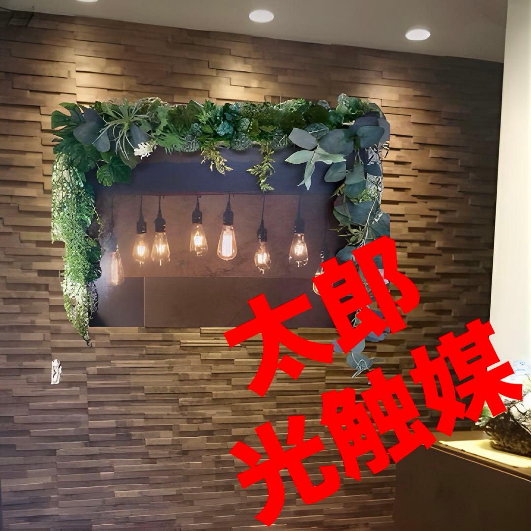 光触媒、人工観葉植物、ウォールグリーン　フェイクグリーン　壁掛け　絵画セット60