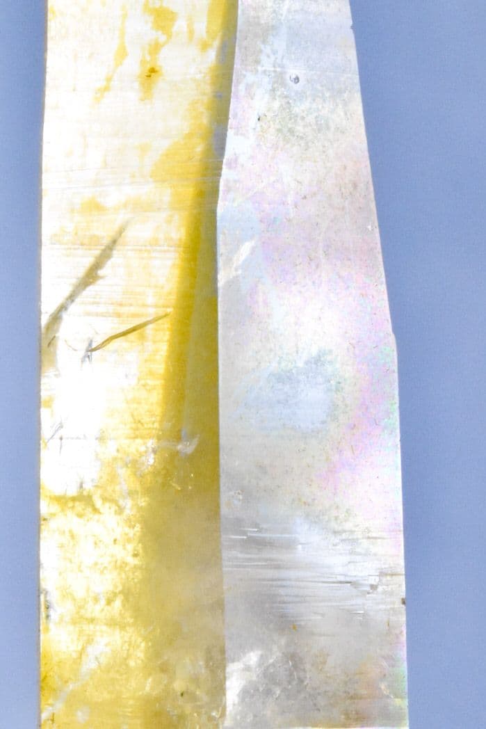 コロンビア産 ゴールデンヒーラーポイント02