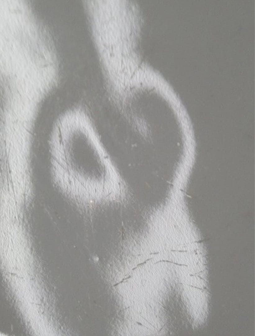 モスクワ　ガードナー　貴重　ロシア　アンティーク　ヴィンテージ 小皿 19世紀