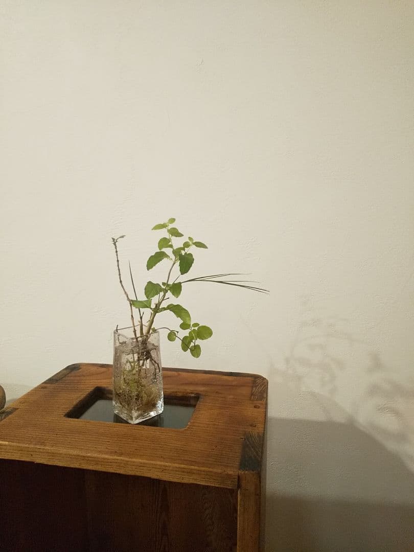 木箱 found muji フランス アメリカ アンティーク ビンテージ