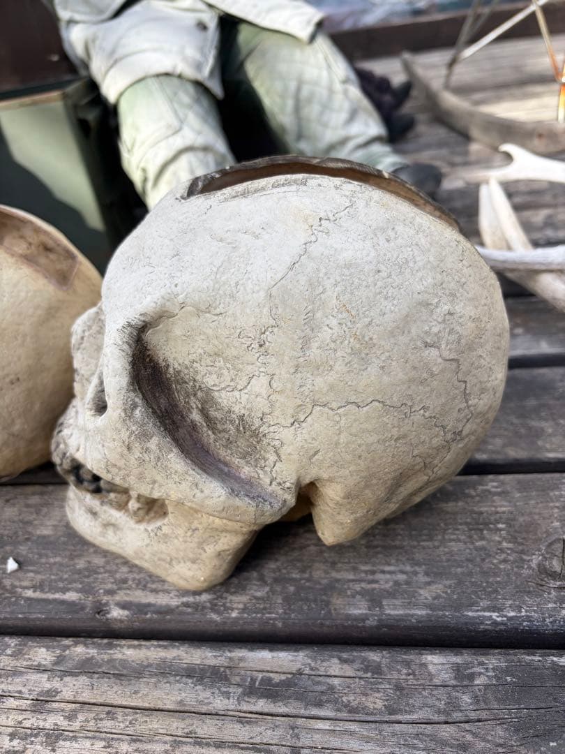 スカル鉢モヒカン等身大サイズ◇ドライガーデン　アメリカン　ガレージ　アガベ 多肉