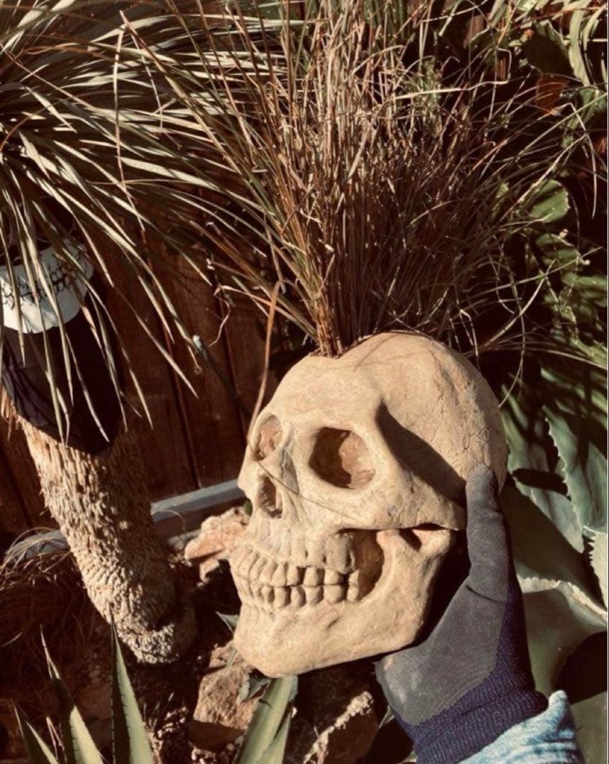 スカル鉢モヒカン等身大サイズ◇ドライガーデン　アメリカン　ガレージ　アガベ 多肉