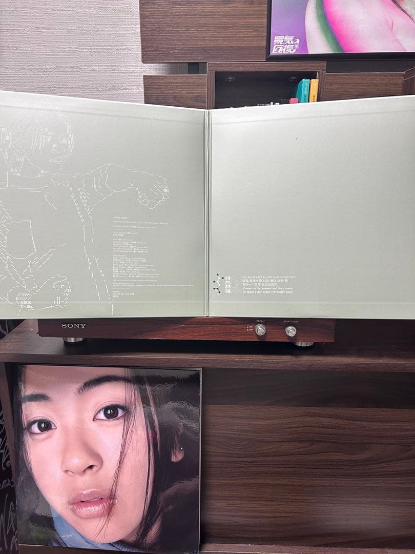 宇多田ヒカル 椎名林檎 EGO-WRAPPIN' レコード3枚セット