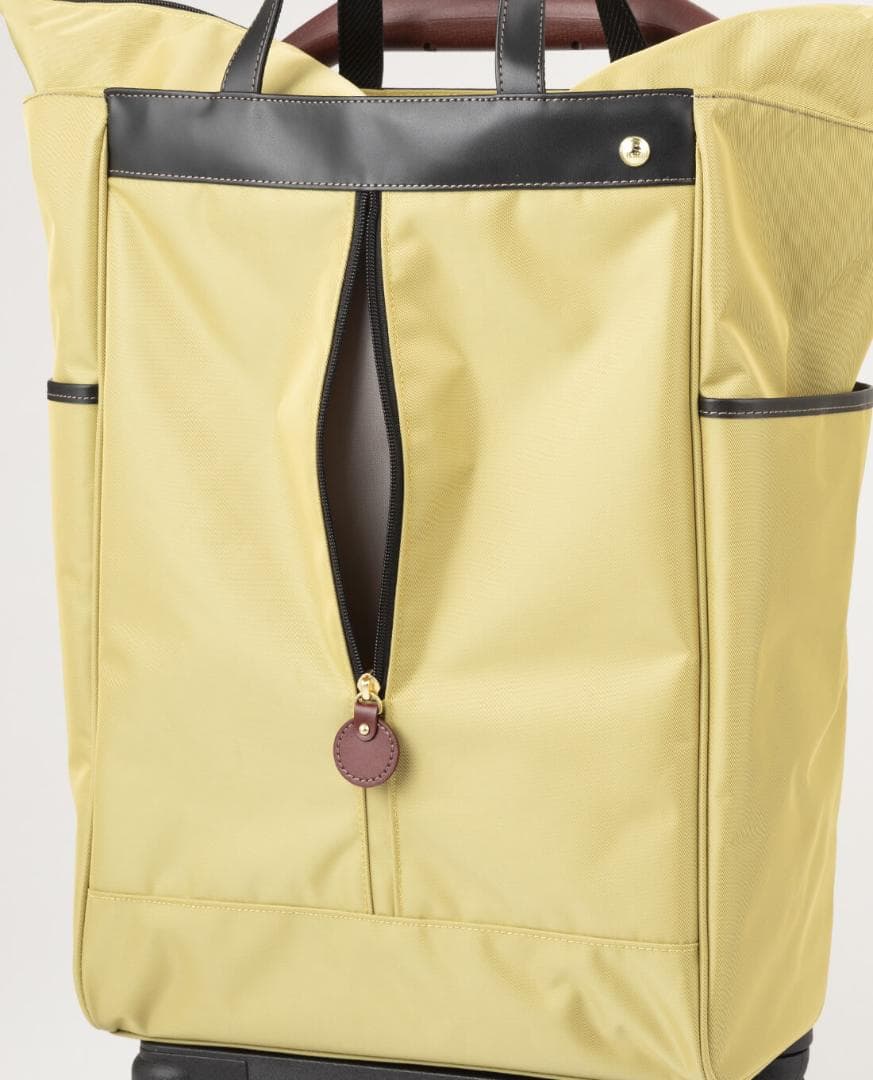 ACE soelte ソエルテ アルディート 20リットル