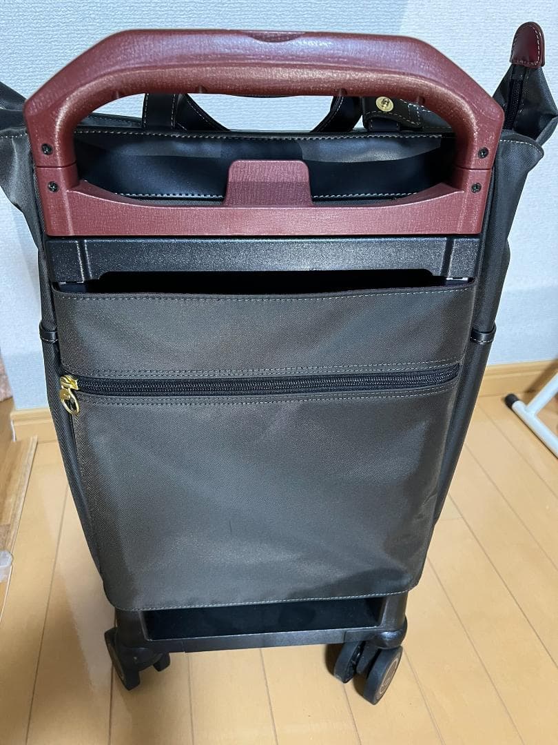 ACE soelte ソエルテ アルディート 20リットル