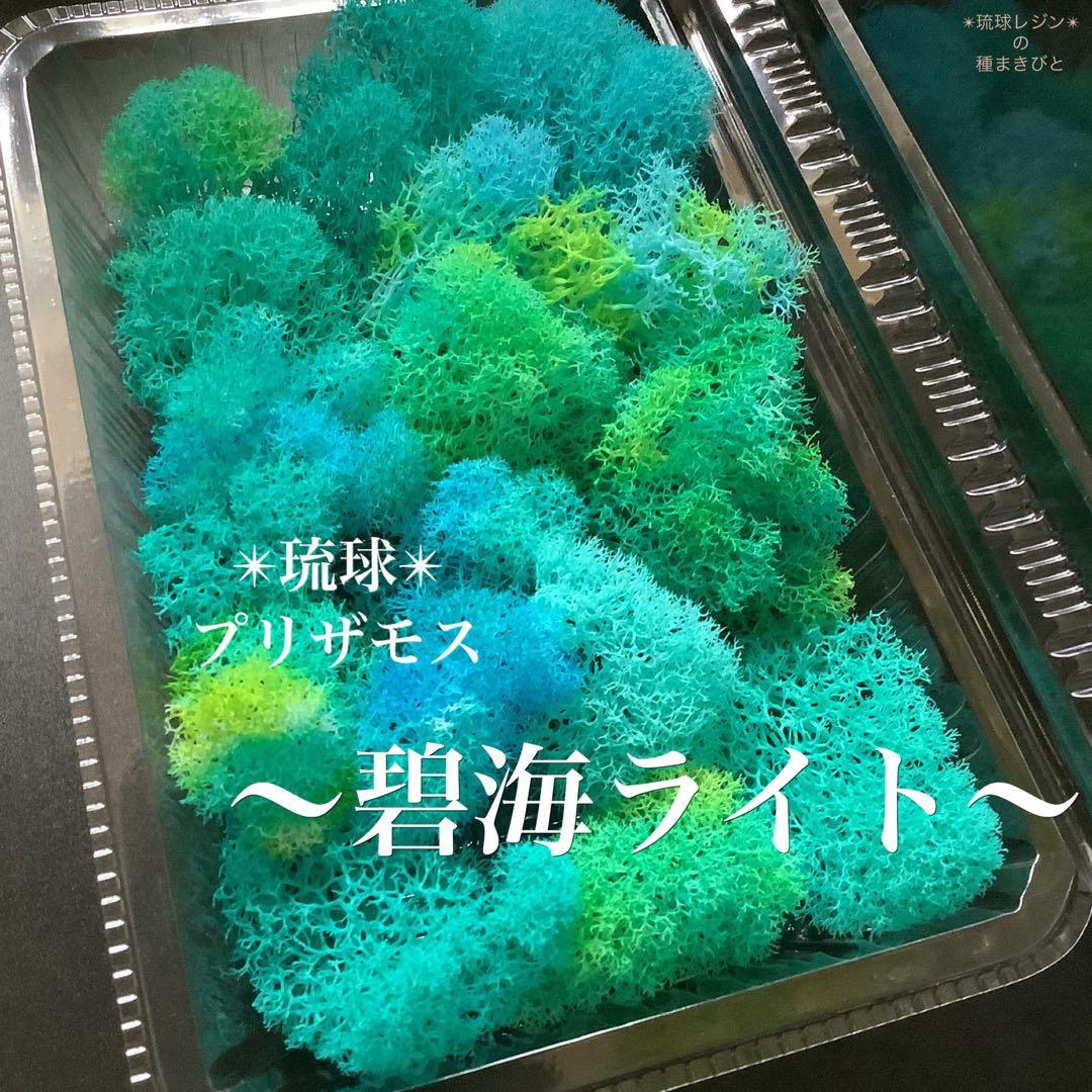 琉球*プリザモス　〜碧海ライト〜　ハーバリウム　フィンランドモス