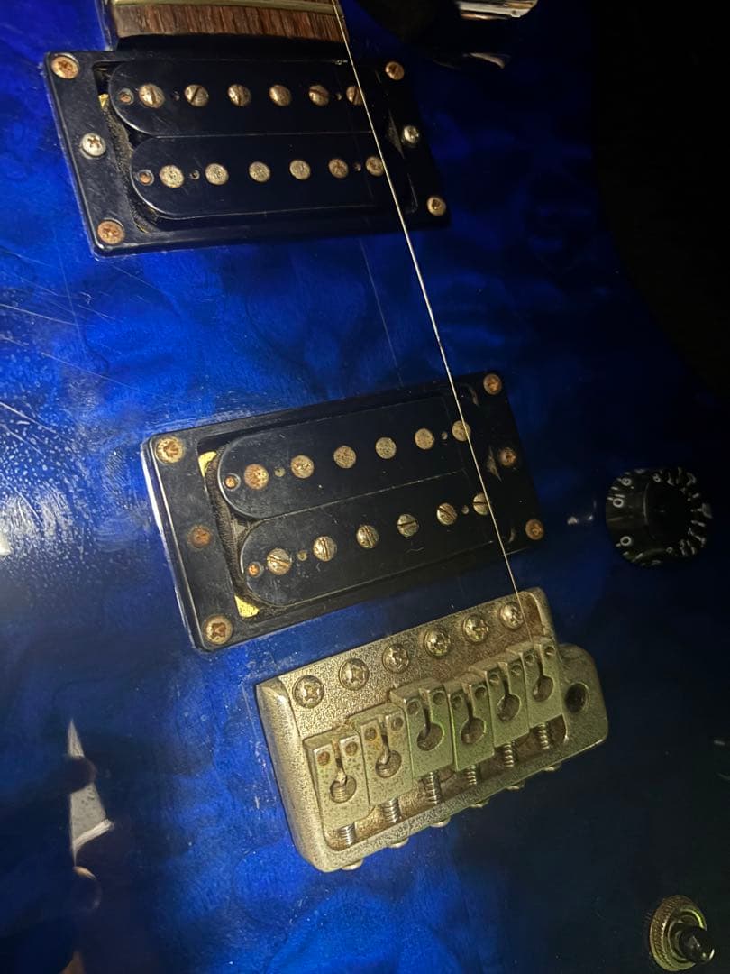 ギター Paul Reed Smith PRS SE custom24