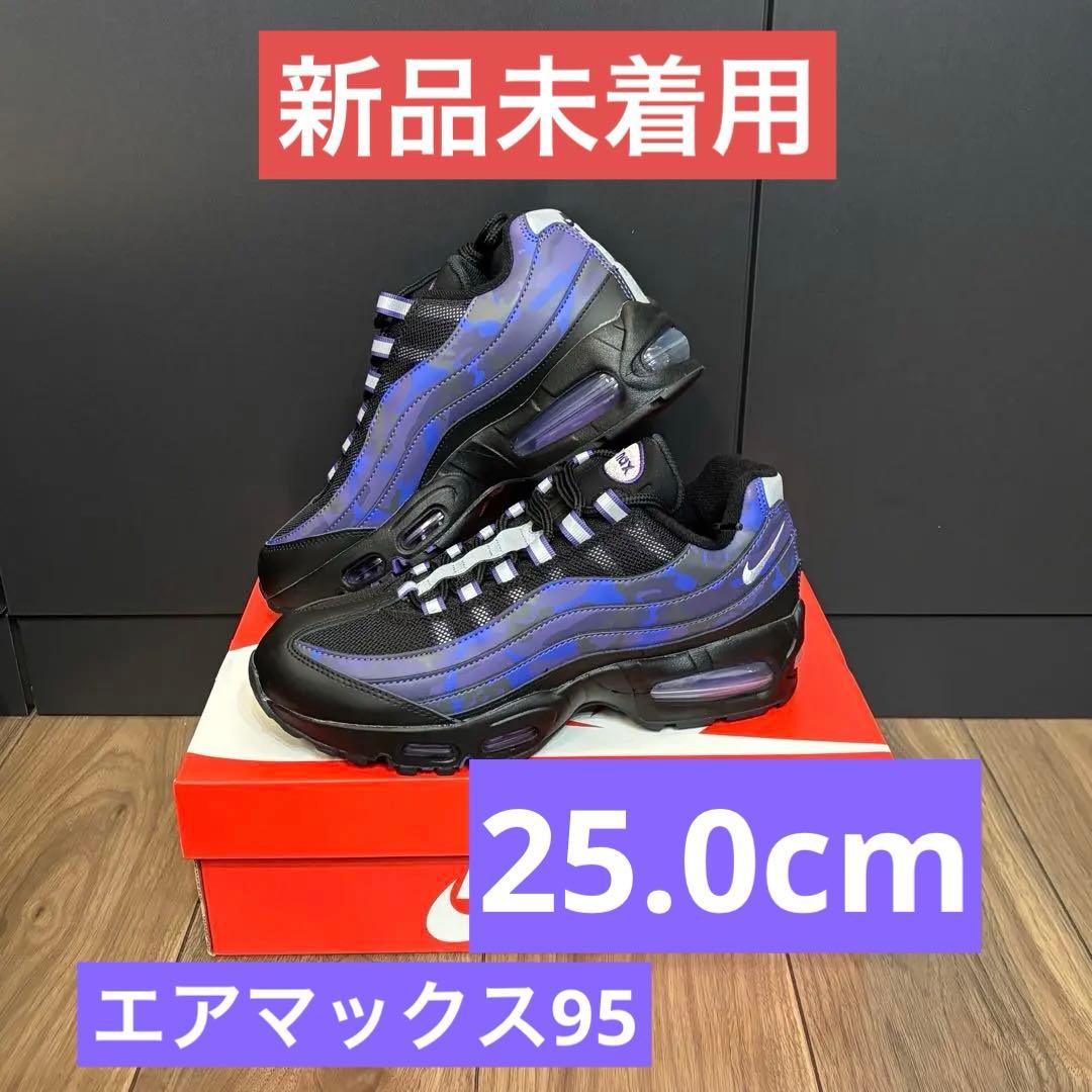 【新品25cm】エアマックス95 CourtPurple＆WildGrape