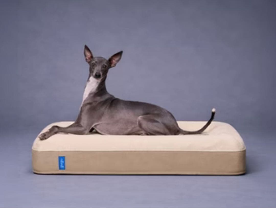 【美品】gugu sleep ドッグベッド Sサイズ◆グーグースリープ 洗える