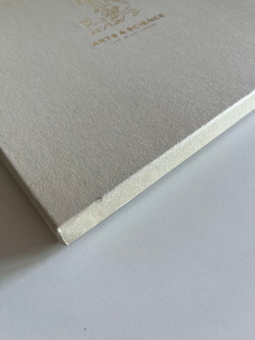 ARTS&SCIENCE Domenica more Gordonシルクスカーフ