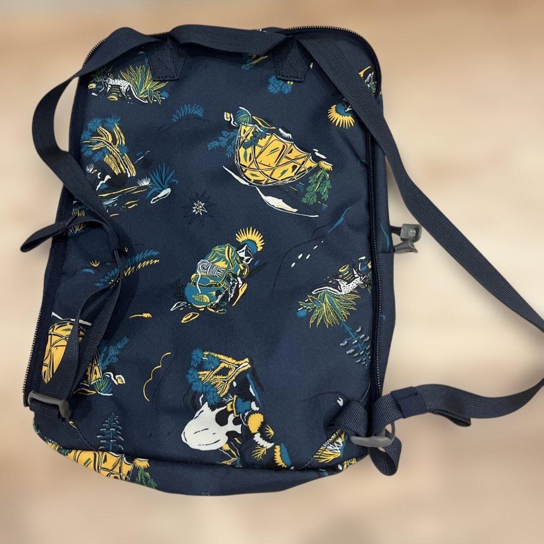 THE NORTH FACE SUNNY CAMPER 40 リュック