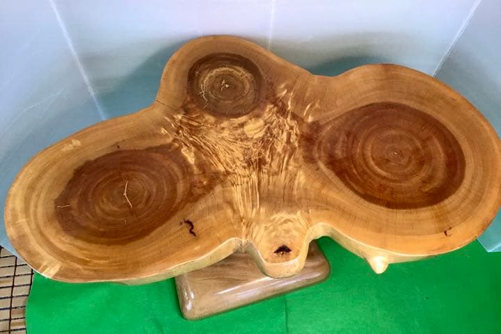 天然木　トチ　三連輪切りテーブル　手造り　一点物