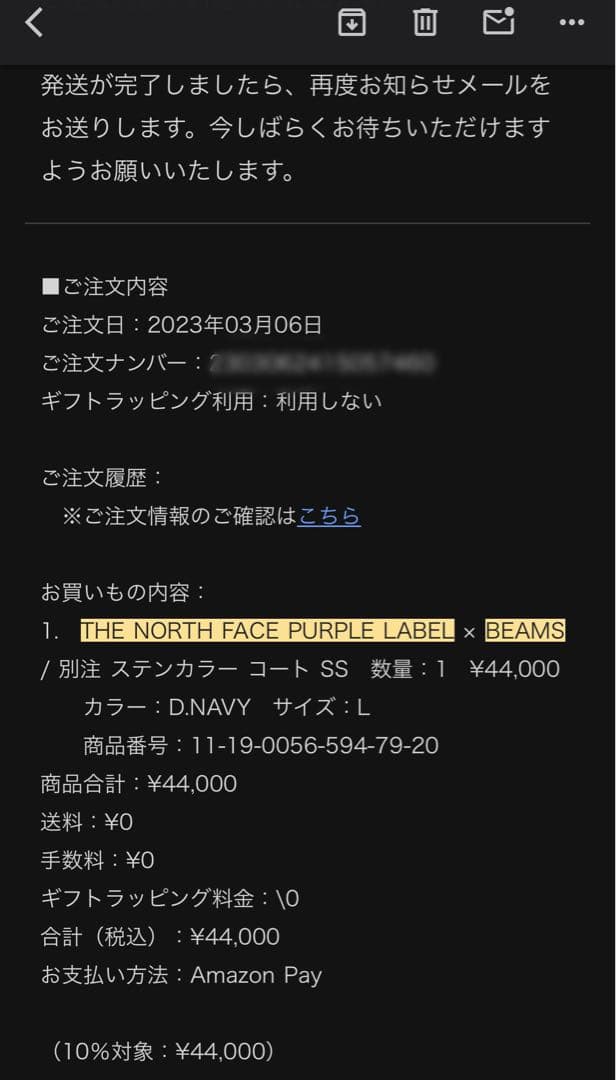 【美品】THE NORTH FACE × BEAMS 別注ステンカラーコートL