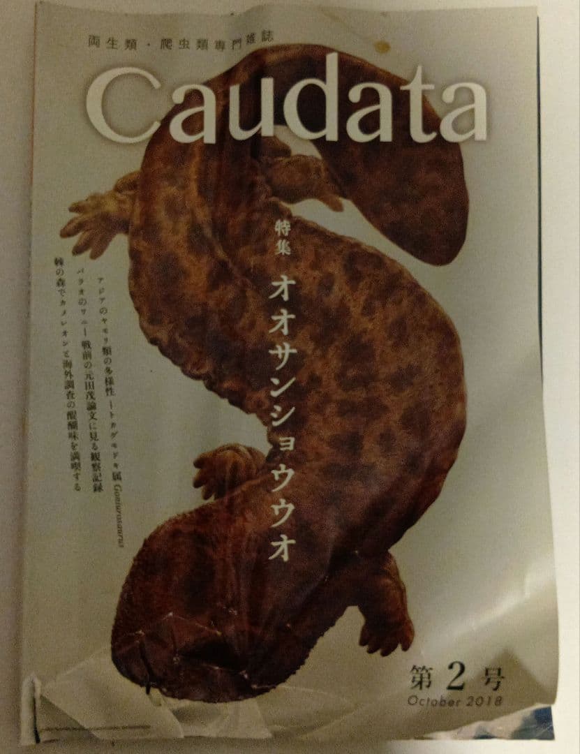 Caudata 創刊号