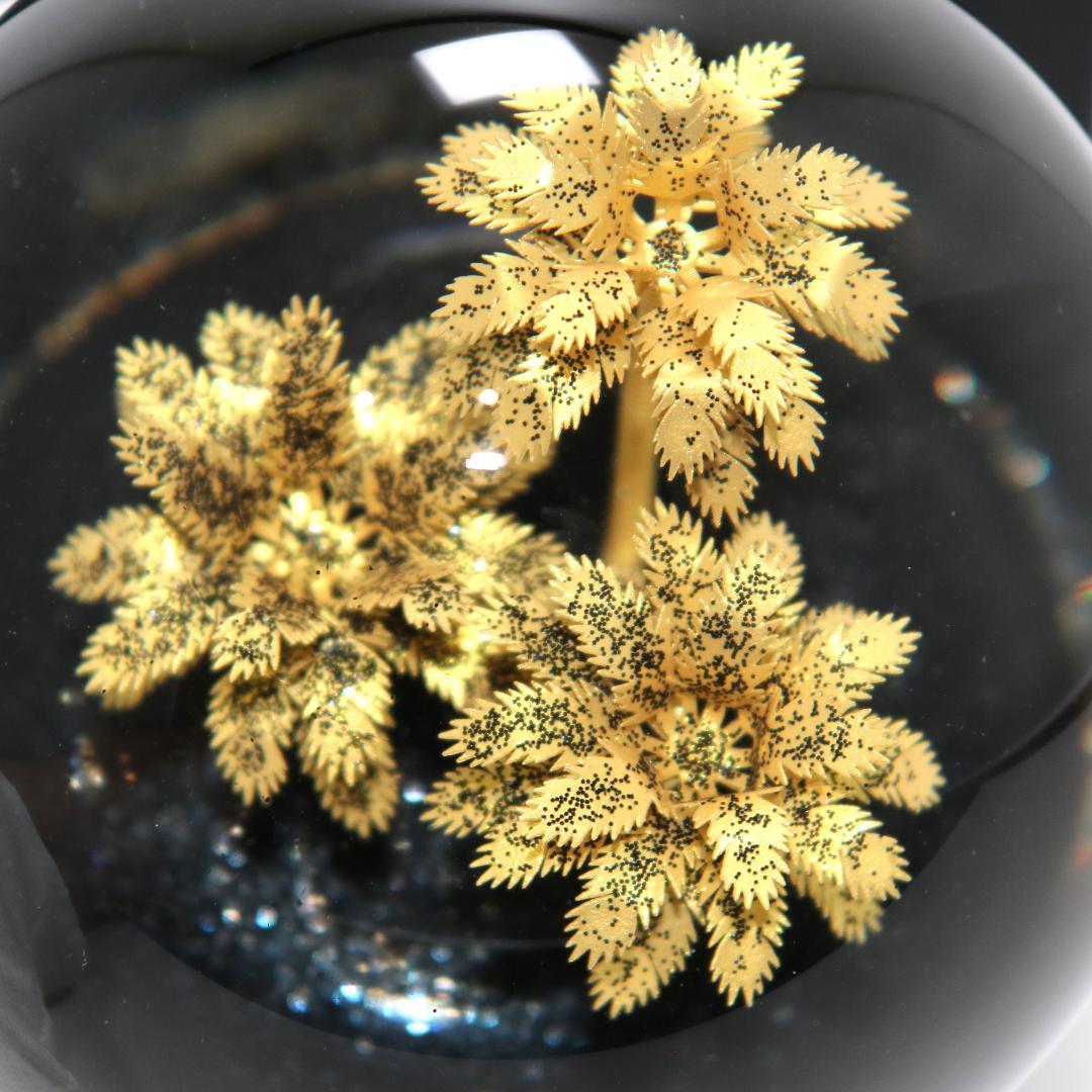 【美品】サンローラン リヴ・ドロワ スノードーム パームツリー ヤシの木