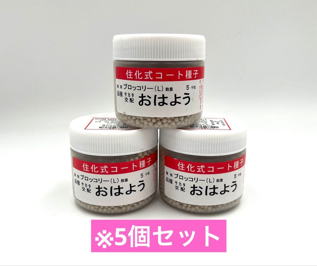 【クリスマスセール】値下げ！ブロッコリー種子（おはよう）5000粒5個セット