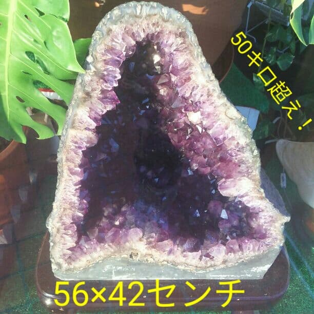 超特大   アメジストドーム