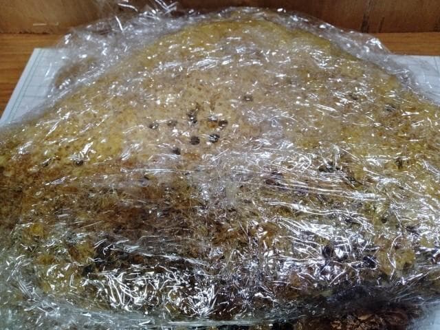 昆虫標本　ニホンミツバチ　巣盤　3番　3270g