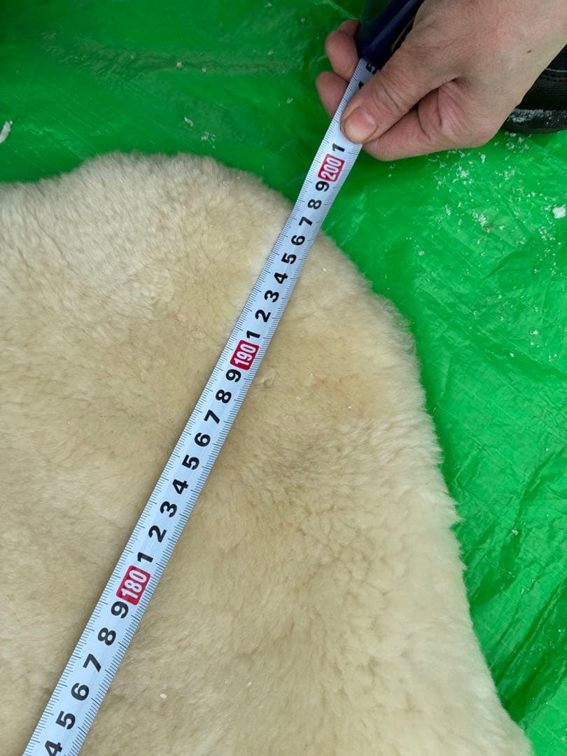 日本ムートン協会 ムートンラグ ニチロ