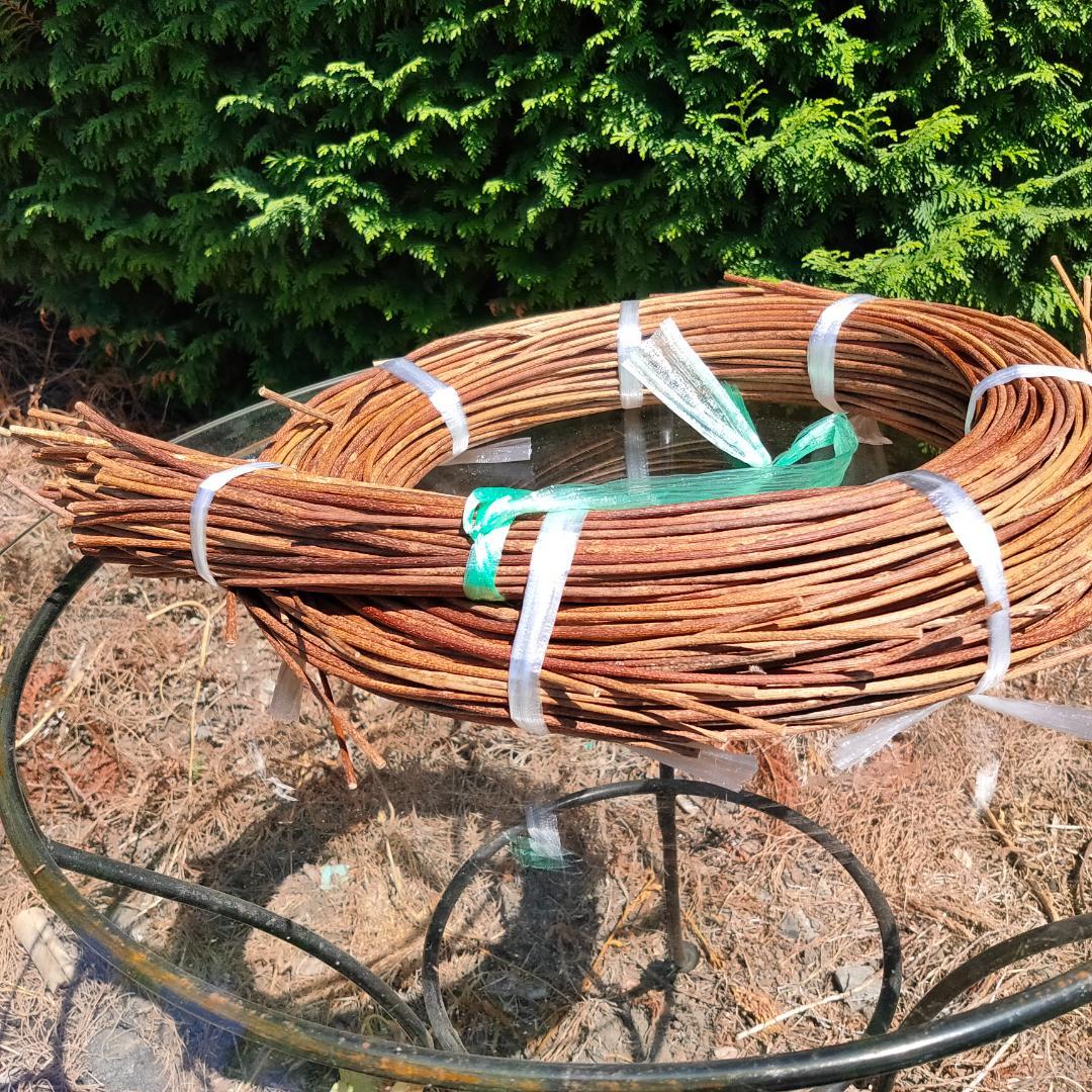 青森県岩木山採取　あけび蔓　150cm～　1kg