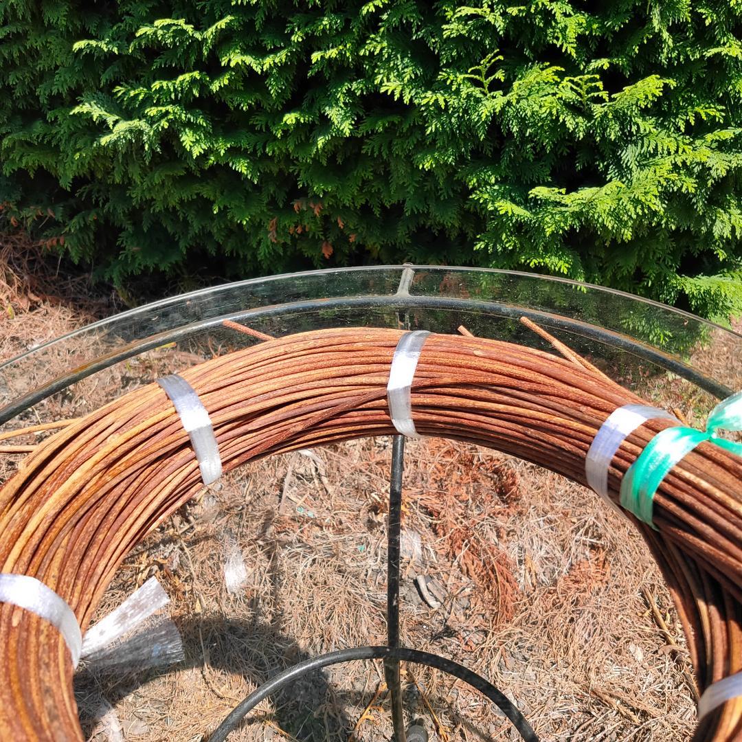 青森県岩木山採取　あけび蔓　150cm～　1kg