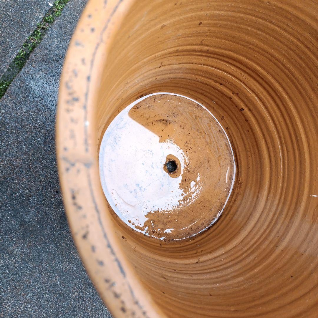 オレンジ色のテラコッタプランター