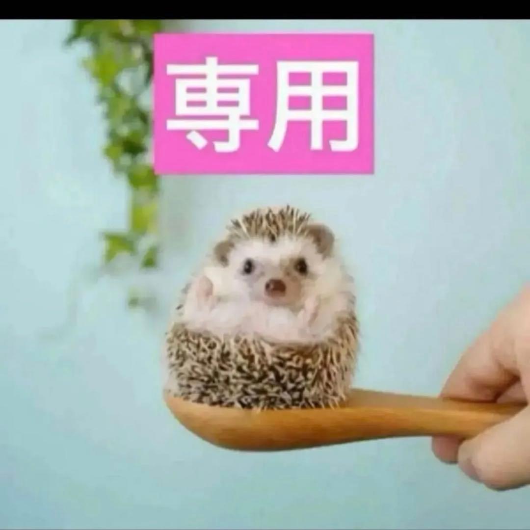 2点、レチショット、カプチュールアイクリーム