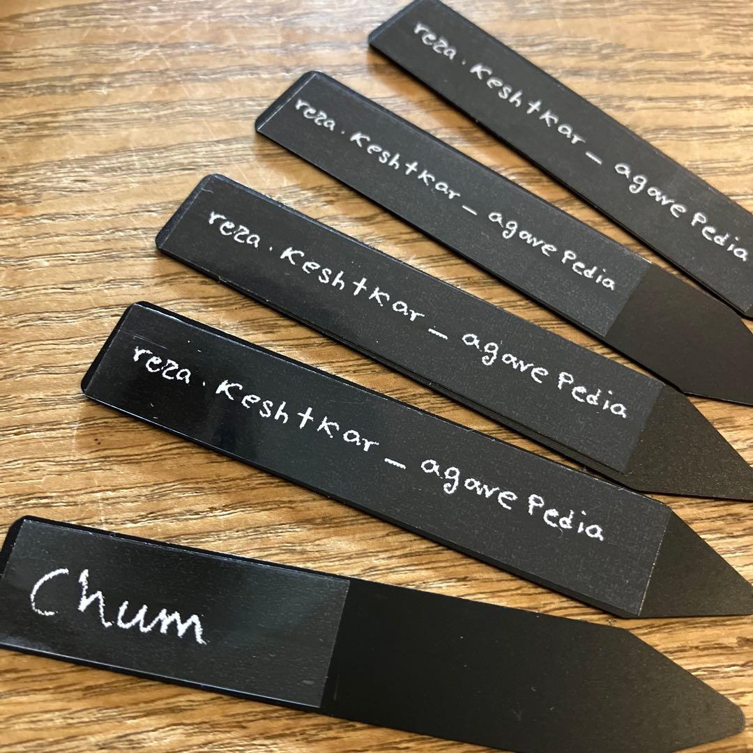 確認用　初売り期間中タグ　リバーシブル　販売元手書き