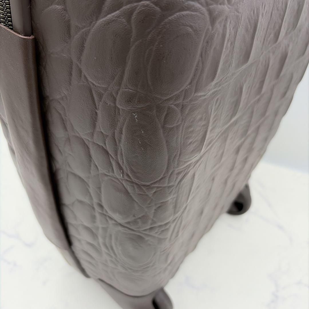 サムソナイト ×アレクサンダーマックイーン クロコデザイン キャリーケース 茶