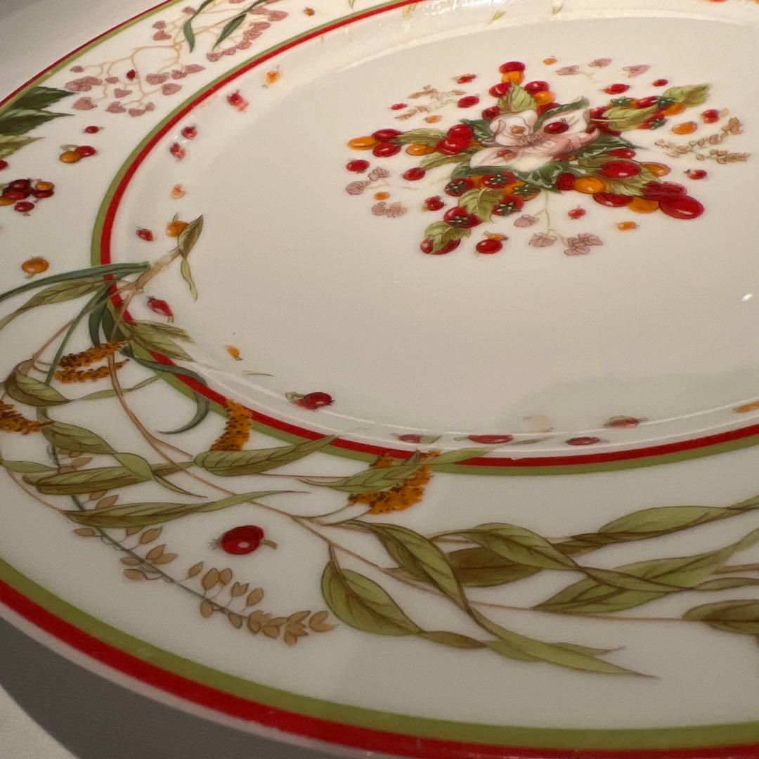 27.5cm エルメス　ピタゴラスの庭　ディナープレート　大皿美品　廃番品