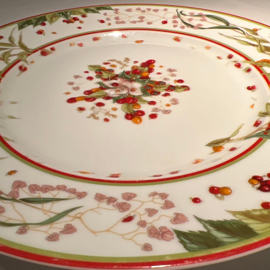 27.5cm エルメス　ピタゴラスの庭　ディナープレート　大皿美品　廃番品