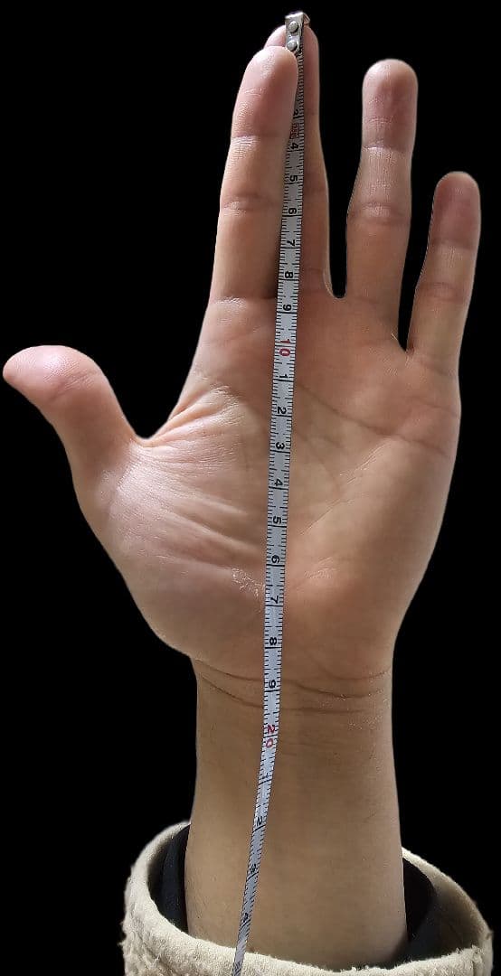 レイトプロジェクト オーバーミント グローブ